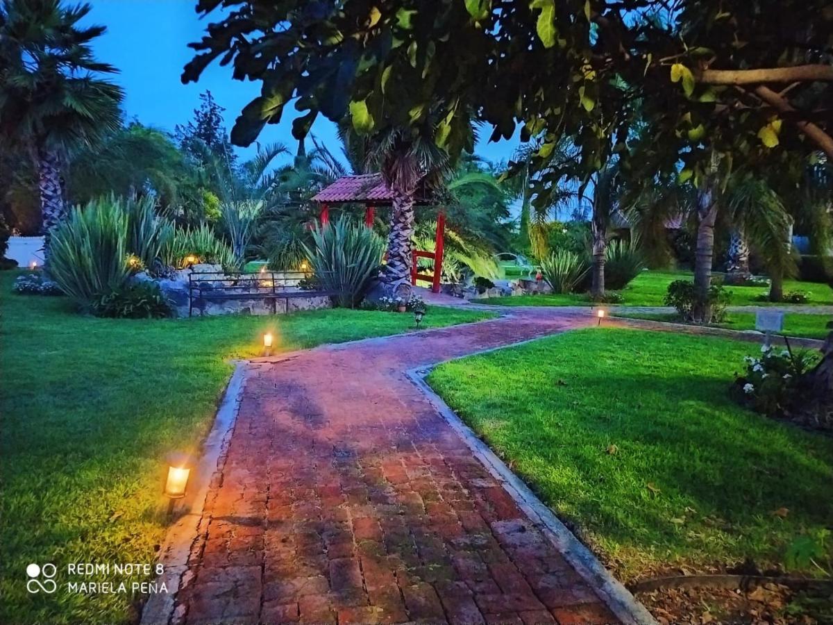 Hotel Palmas Teotihuacan San Juan Teotihuacán Extérieur photo