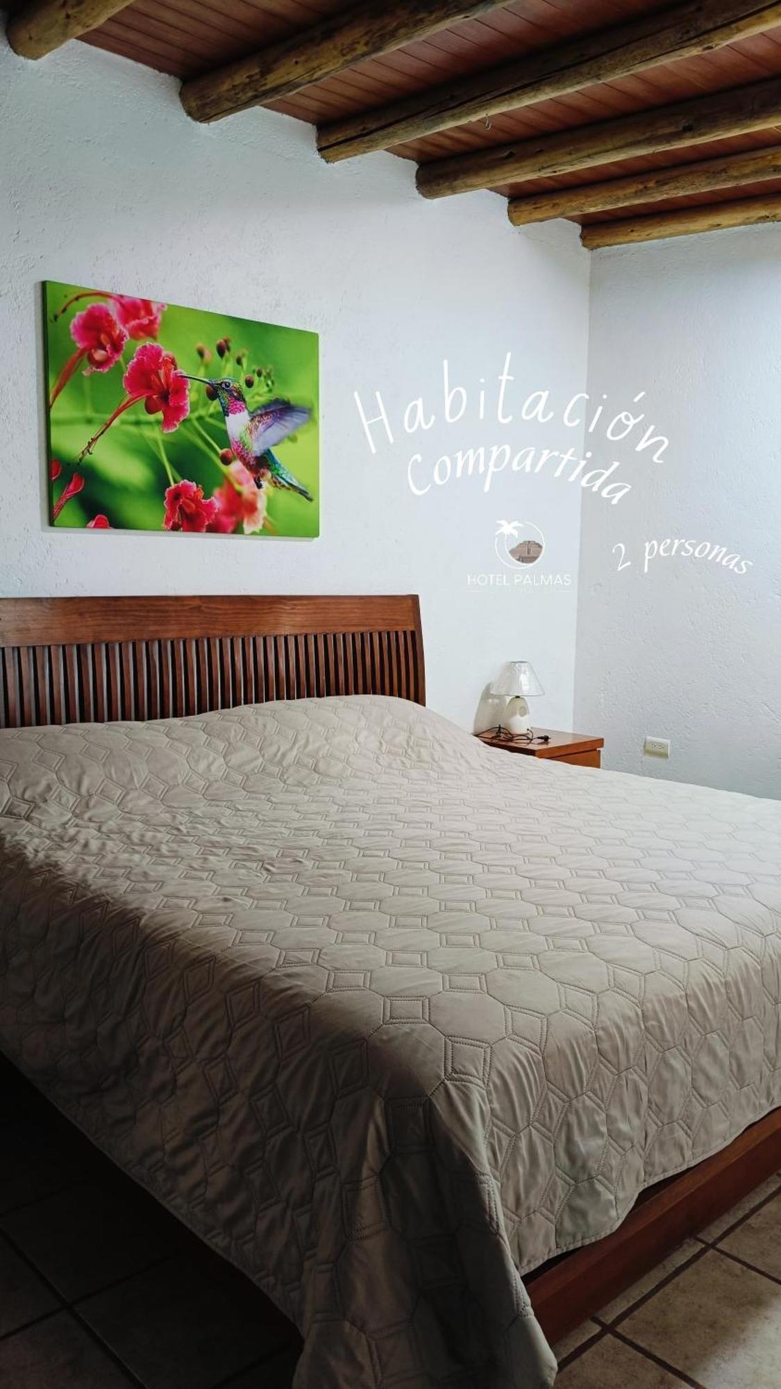 Hotel Palmas Teotihuacan San Juan Teotihuacán Extérieur photo