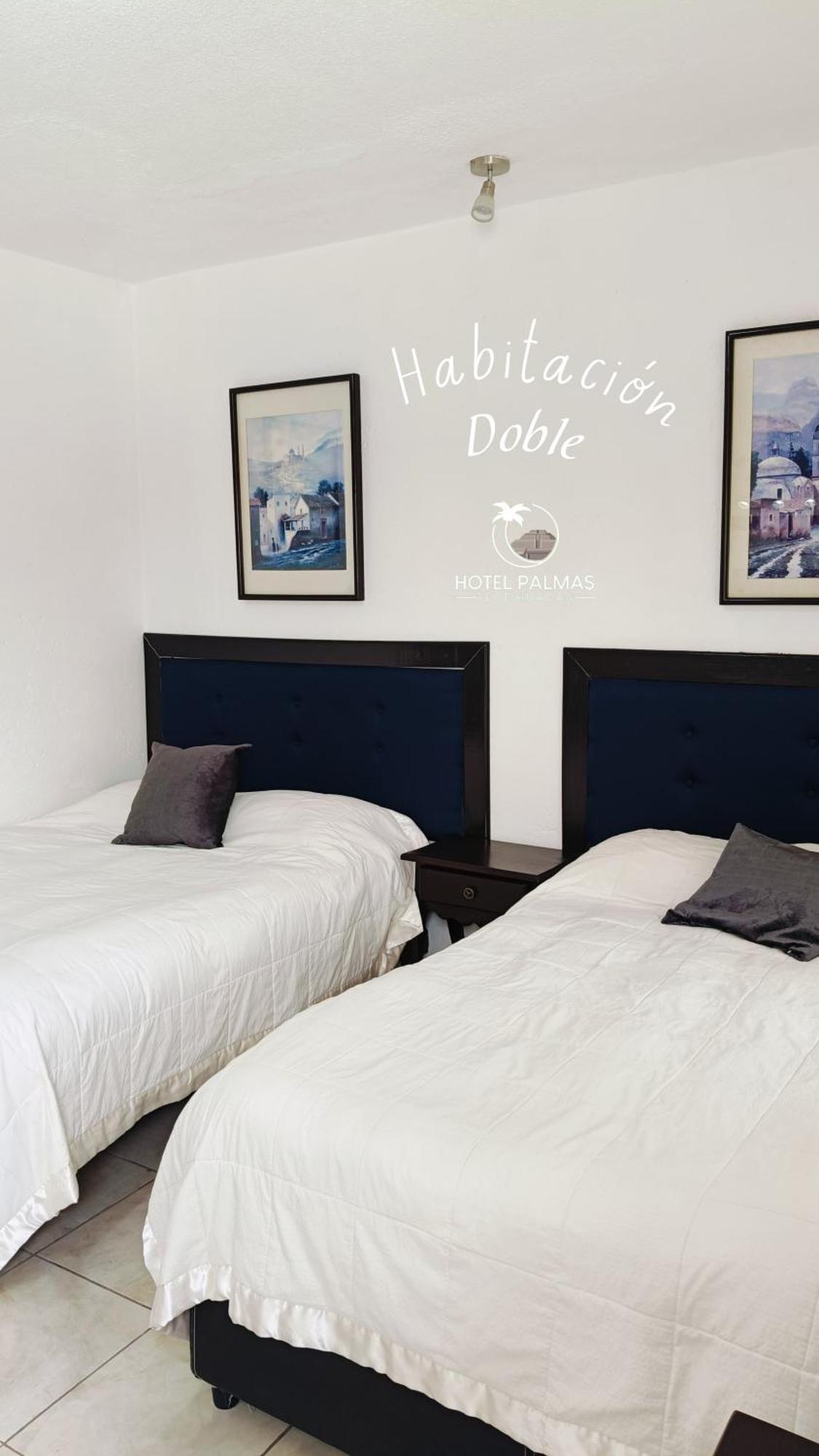 Hotel Palmas Teotihuacan San Juan Teotihuacán Extérieur photo